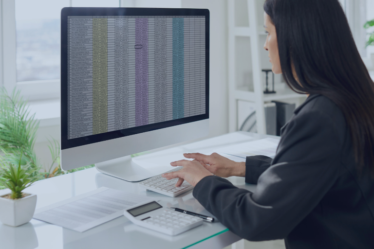 A woman working on an iMac, reviewing spreadsheets with financial data, owner balances, and vacation rental accounting records.
