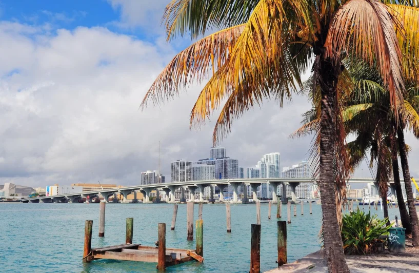 Miami waterfront with palm trees, wooden dock pilings and city skyline across turquoise bay